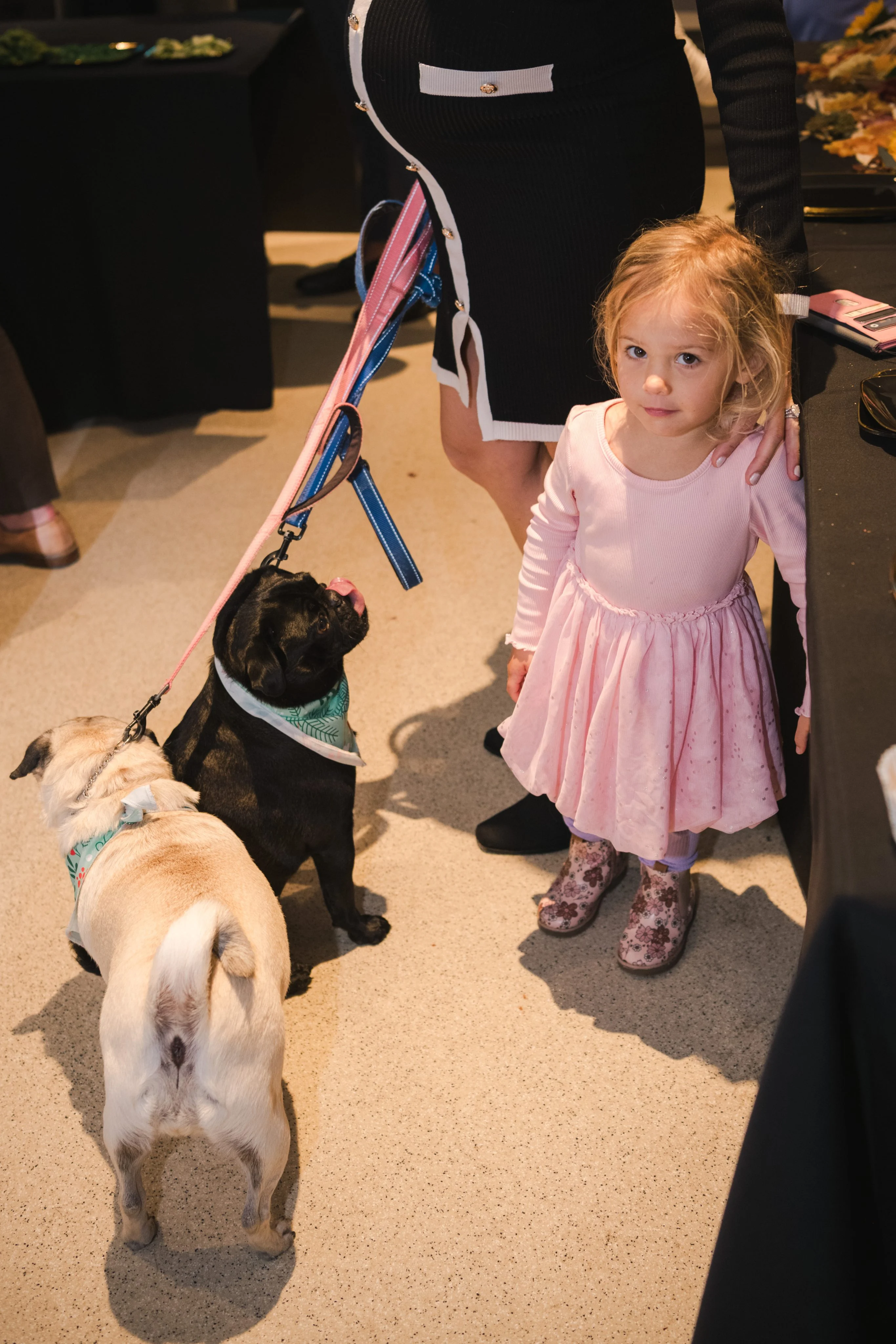Yappy Hour 2025 photo 17