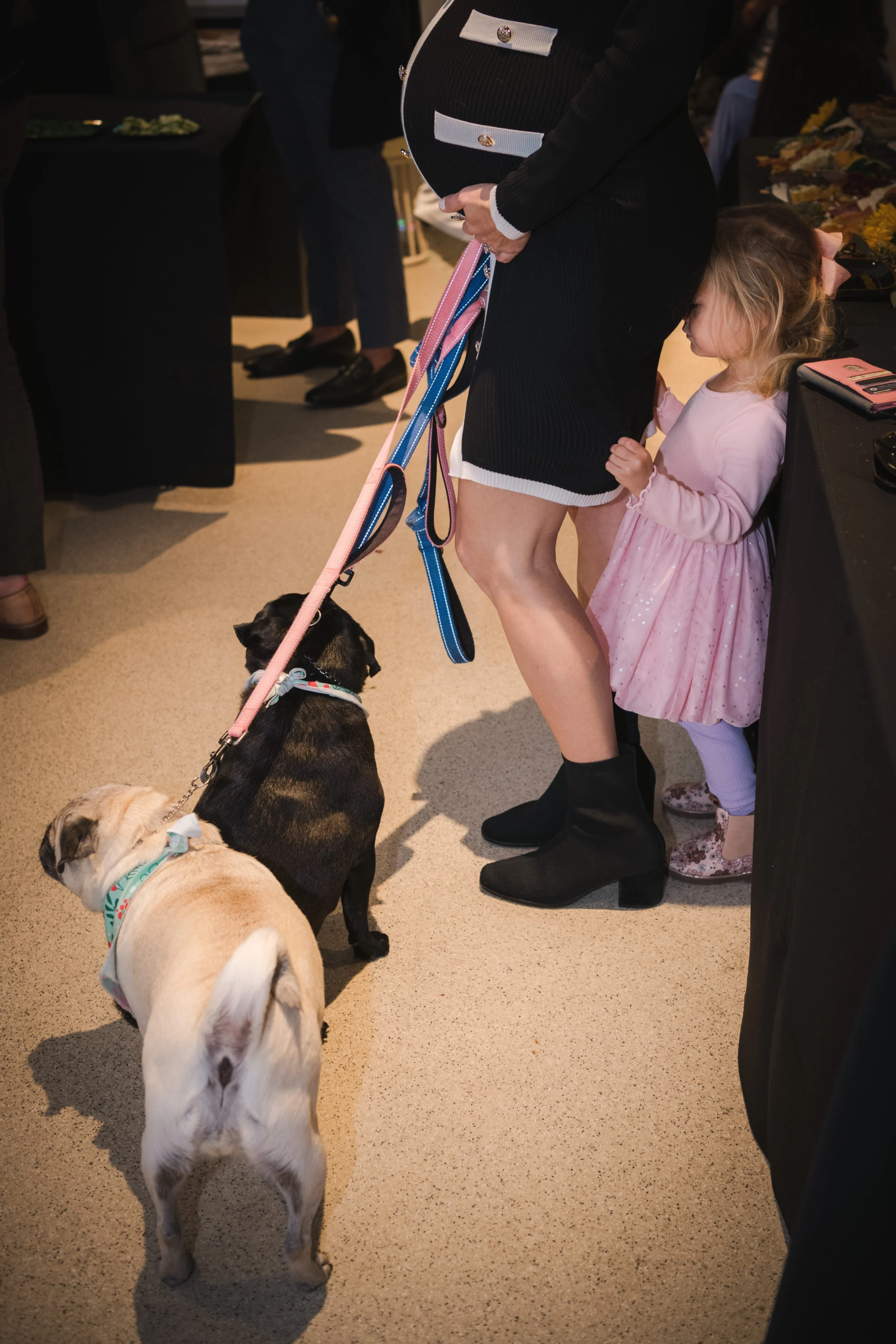 Yappy Hour 2025 photo 16