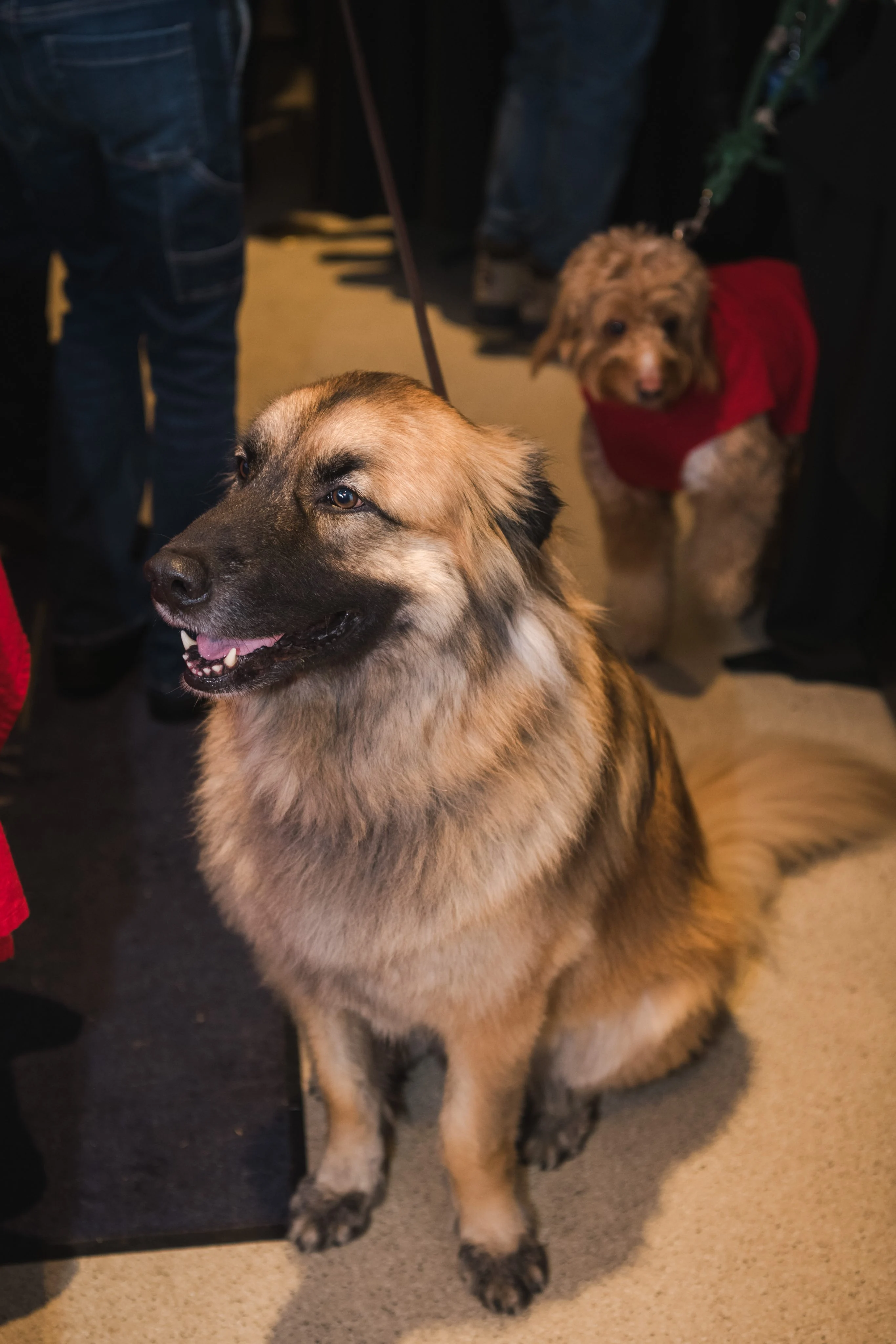 Yappy Hour 2025 photo 46